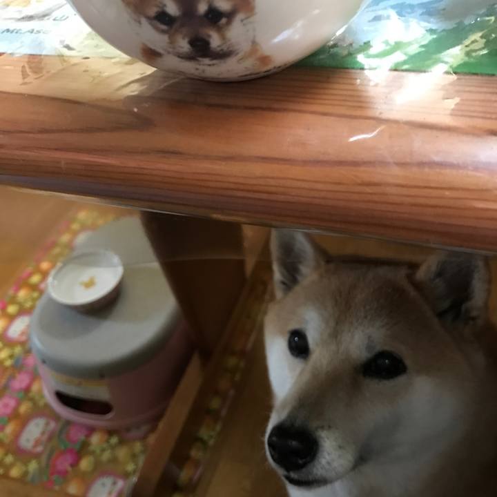 7f695bec 5b01 4a3f 99db 2580cf49340f