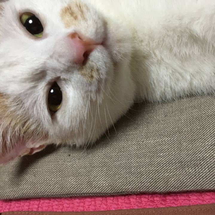 7f6a49b8 3a55 4389 9750 fad9516a0b0a