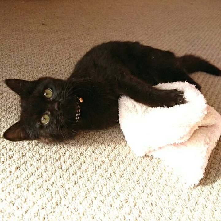 7f6a9df0 c885 431b a998 03ef41b89cac