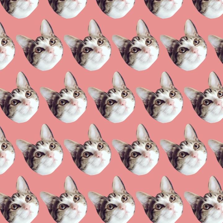 7f6ad08d 2932 479f a729 dae319cc1f4b