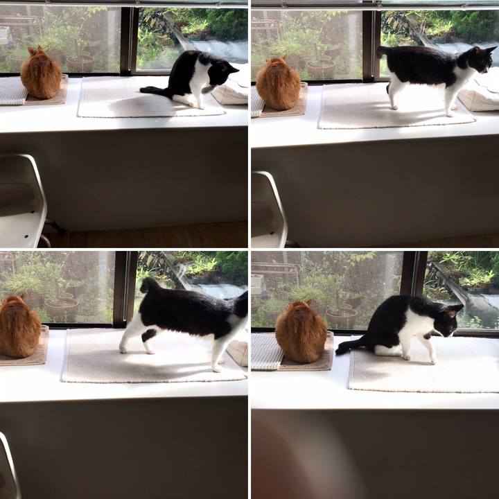 7f6b7da1 c468 41b5 9a75 551bcd1a8a5d