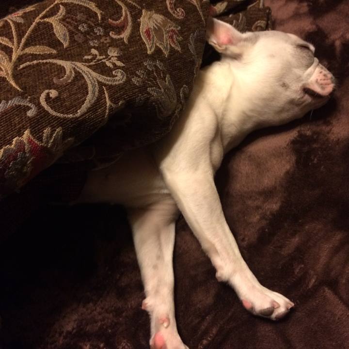 7f6bc65c 97a5 4120 b0f0 dc2fde526ea8