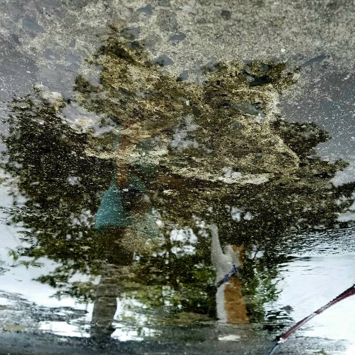 7f6bddb6 d882 4656 a31a 0b5b12834c52