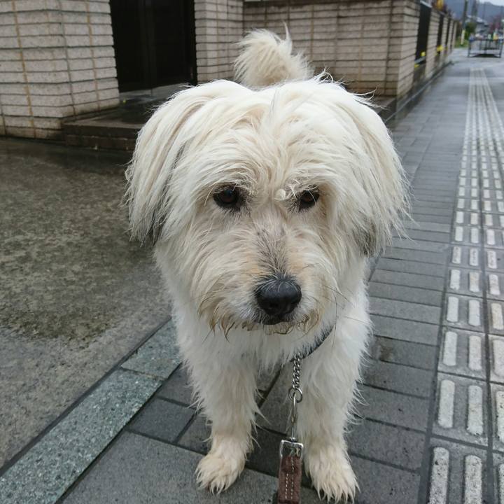 7f6bf865 0150 43e9 9612 7705c125bd7a