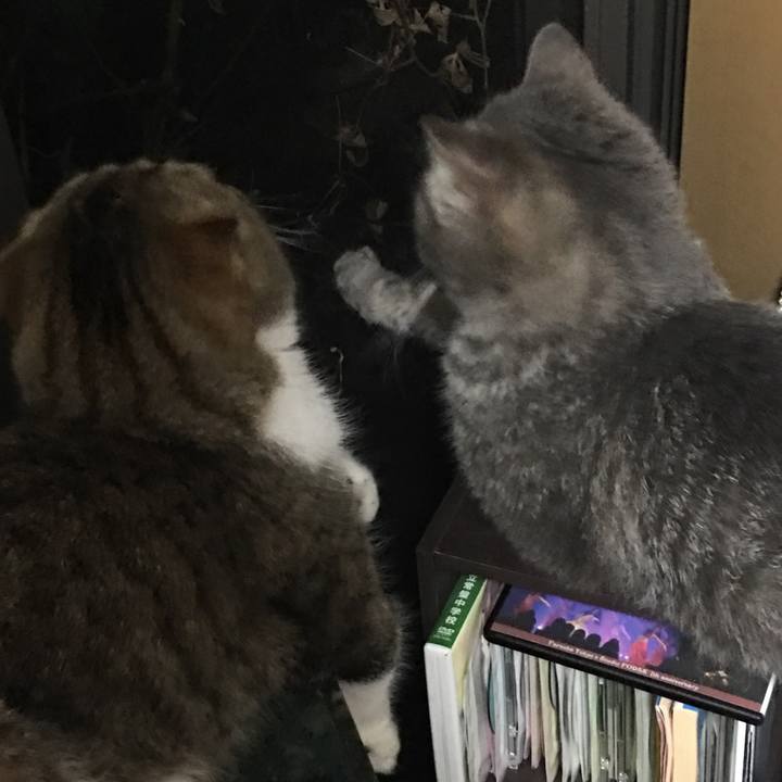 7f6c0a8e 55e0 4e62 a540 9760fb498b43