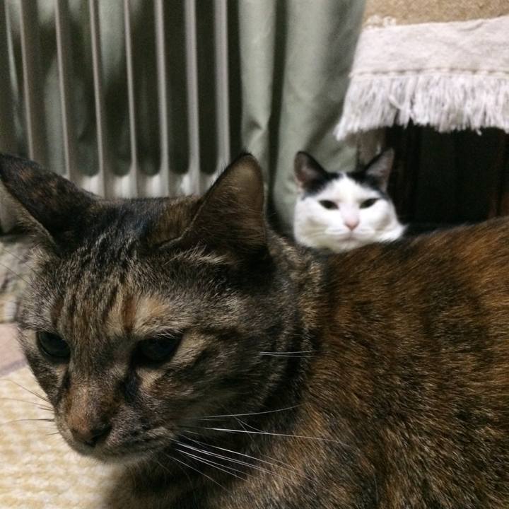 7f6c39a9 32fa 46d4 a85e 6968dca285e3