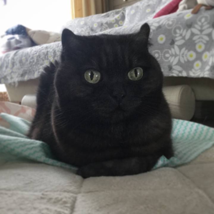 7f6c7623 b2c7 47e1 831a 9bef661535f1