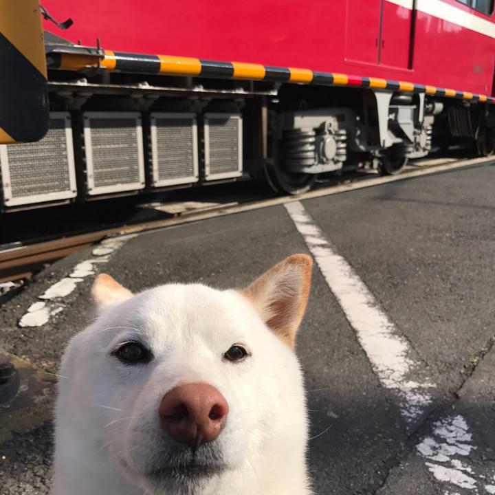 7f6c77fc 21dd 47b3 822b bf0445d20a86