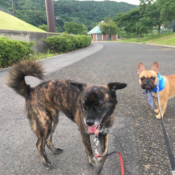 7f6c80f7 1165 432d a49a 54bd2bfb7ef1