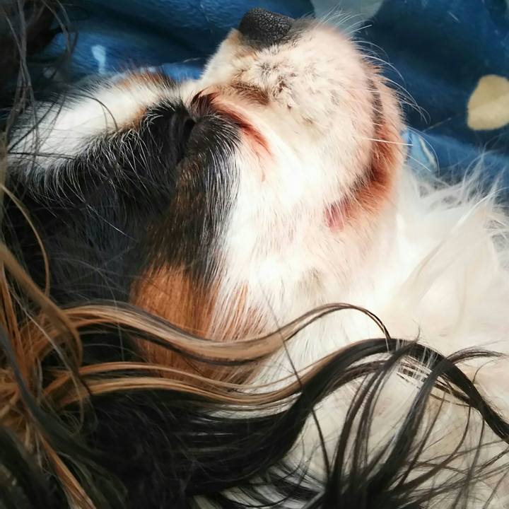 7f6c8e9b 22b4 465c b282 b9f697fae0c4