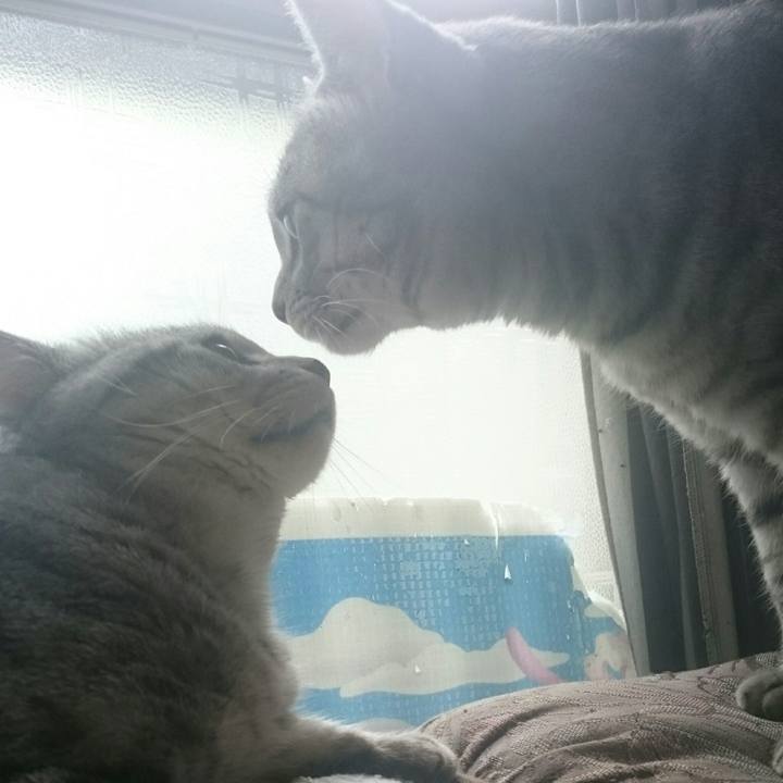 7f6d237c c09e 4b3a 91d4 32e355064705