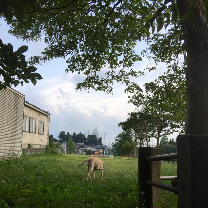 7f6d6b84 60d0 4afe ace3 147385dd23e4