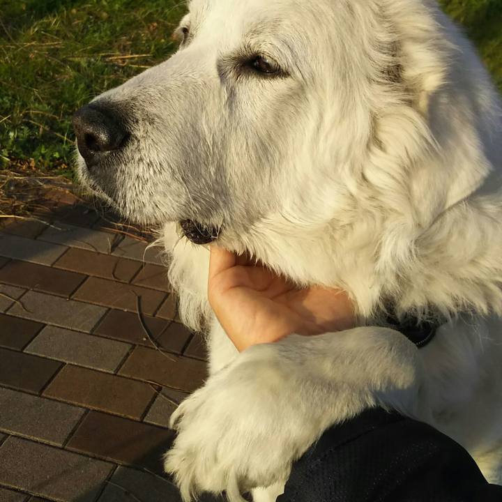 7f6d8e59 6122 4edc 9eb5 ee44c38958df