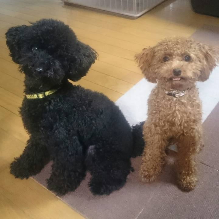 7f6dd43f fa96 44c0 8ec6 91cf8f117fe5