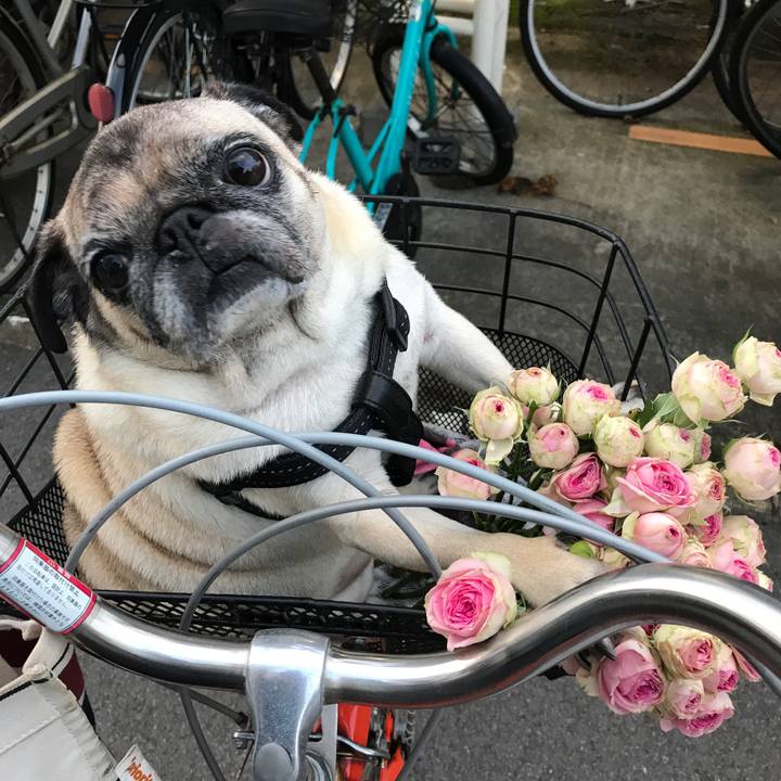 7f6e34ef 6579 4bf6 90dc 02cba8c28f00