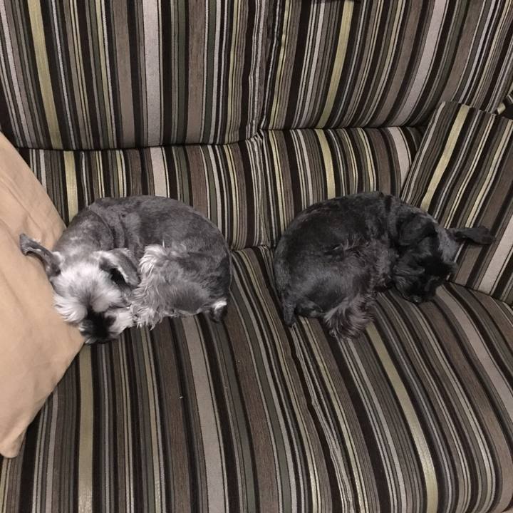 7f6e9a4b 3d15 46d2 946a 45a0dc6cd44c