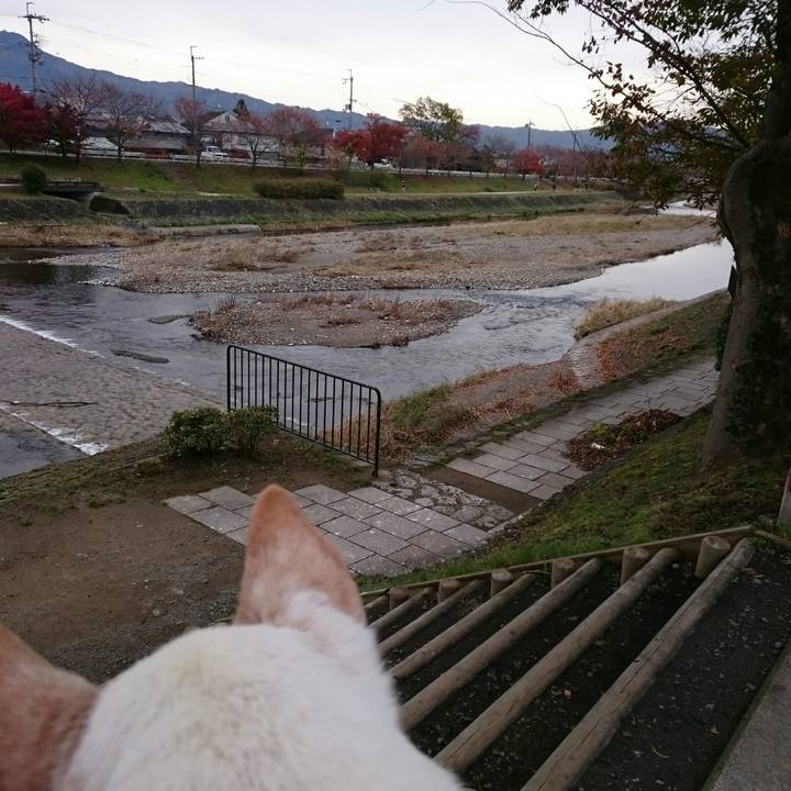 7f6ed1d0 2a19 4785 9bc4 847c370fb60a