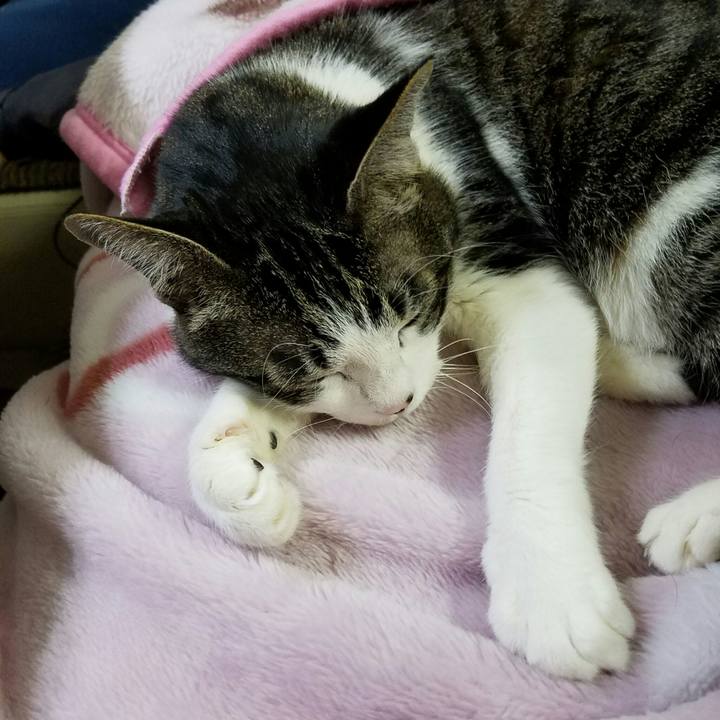 7f6f2dae 7e29 490f 8977 7140fd3afc7f