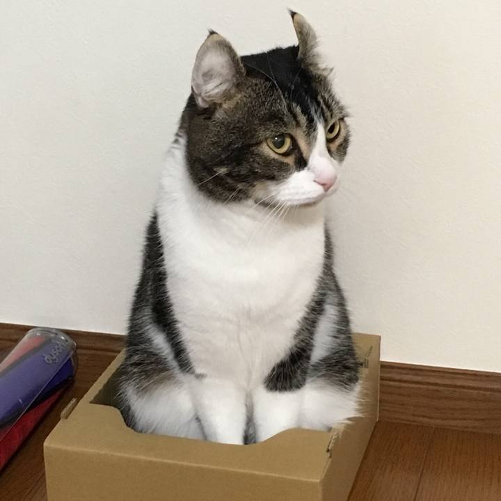 7f6f7900 0fd1 4c5c af10 ffb5fd49675d