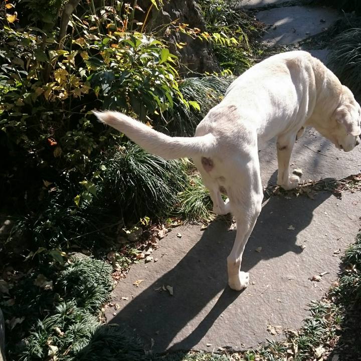 7f6ff272 3fe4 4d14 bfad e3b548f309d0