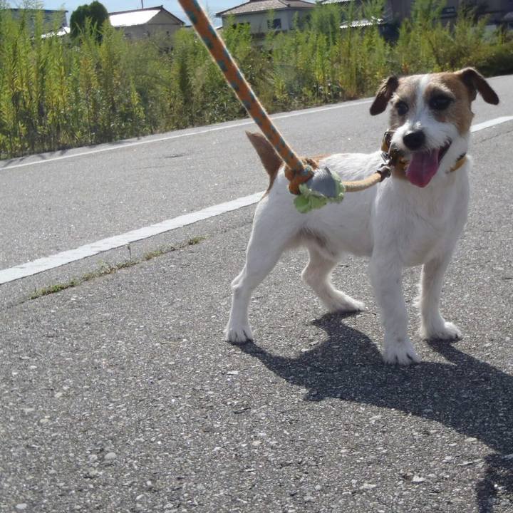 7f70a3ab 1ae6 41b9 98df 19f3859faa91