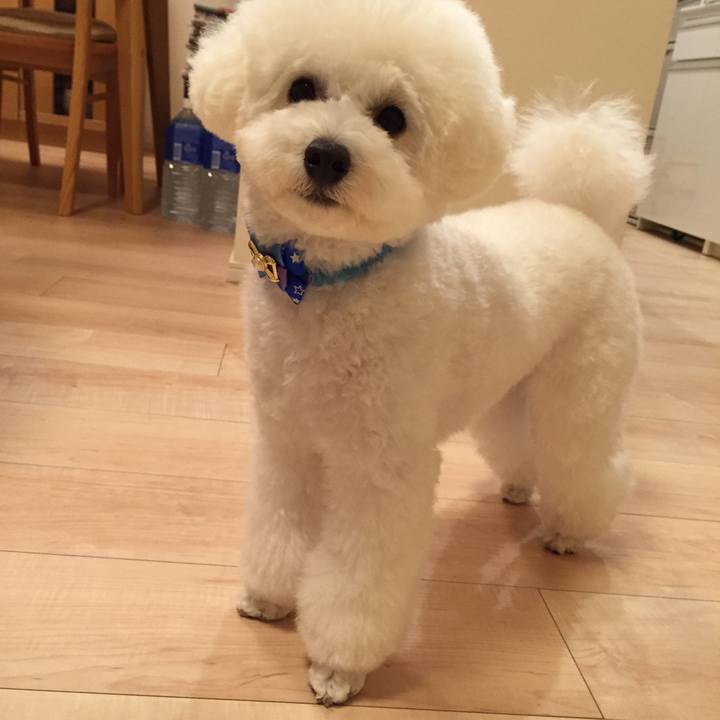 7f70c0db a3d6 429d 86a9 e57df01c8255