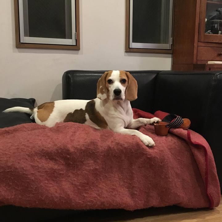 7f70d6ff 011a 4e29 95c0 8be3035de68e