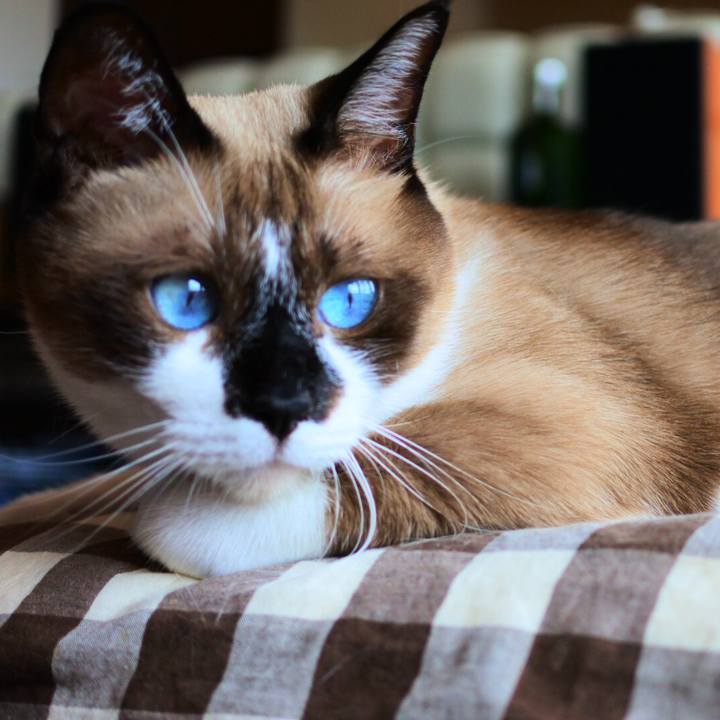 7f70fb65 fb3e 4a5b b5b6 75217bedcb3c