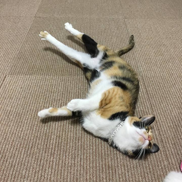 7f72c98a fd60 4ef1 8418 b1bdd51a468a