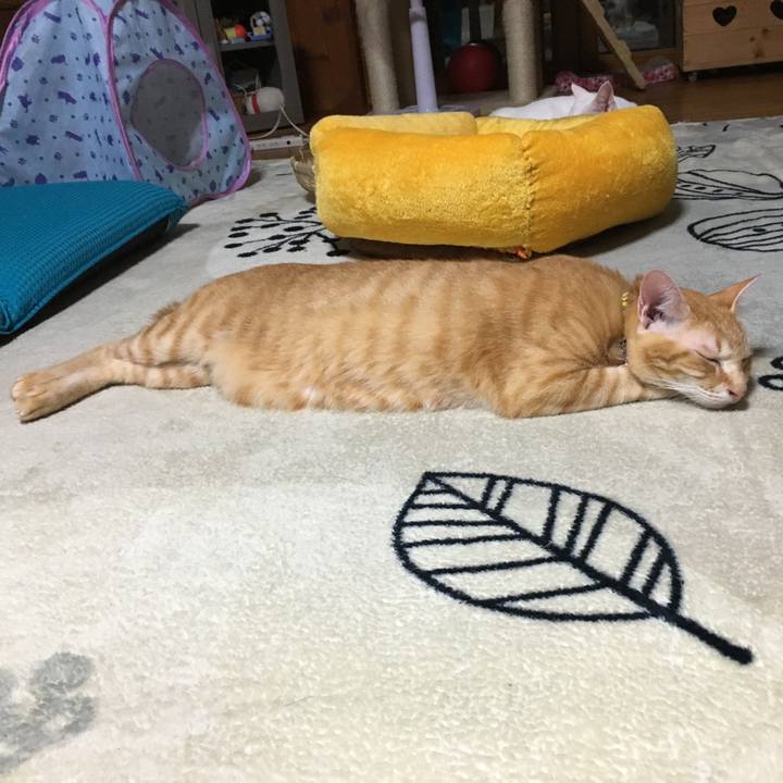 7f72d892 2cc0 48a2 9cf7 9c524efd6809