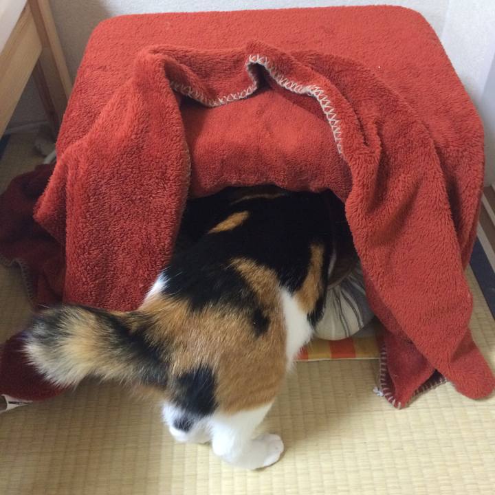 7f748ba7 69a4 482f 9cbb 4945cba17de0