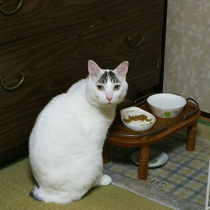 7f74c343 ef1a 4af5 bb1e da052a3b3b18