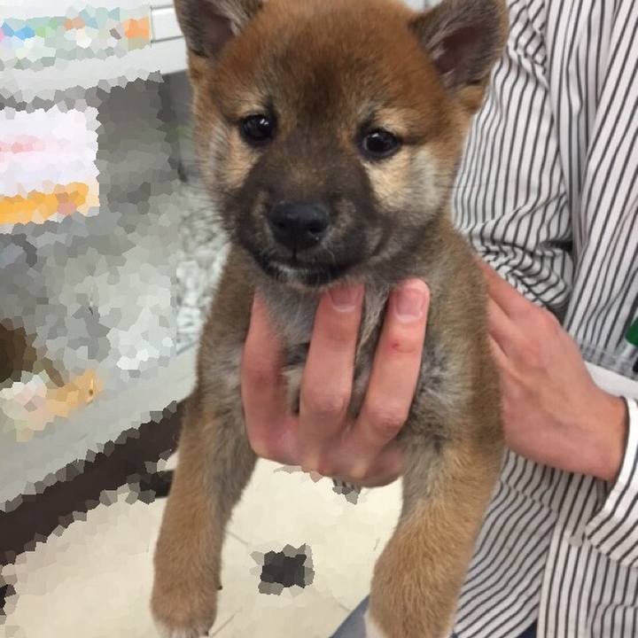 7f767401 8c90 4b78 8891 9c3925f8a252