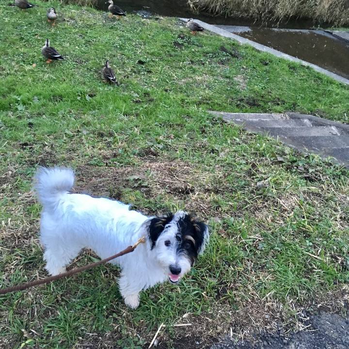 7f7765e4 070b 4253 862e aaf5a6ee07c5