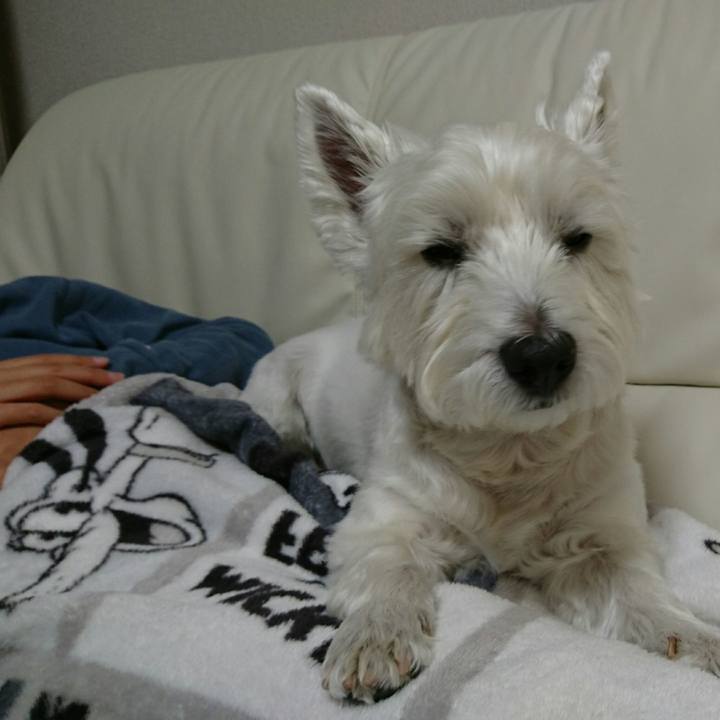 7f77a1a6 006b 4467 b56c ce201296b762