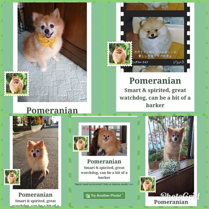 7f77e4d4 cf51 41df bbda f89f9233fc83