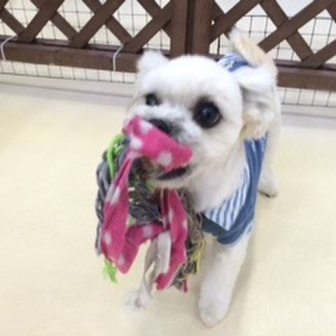 7f782103 2355 4bf6 b0be 099b3ffb71d5