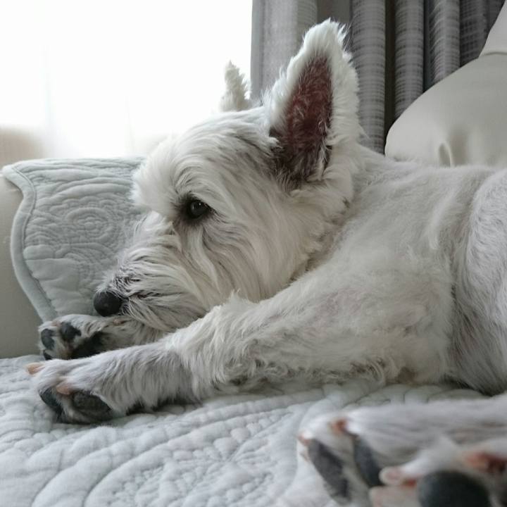 7f783a61 c909 45c4 89a2 8003d32446f6