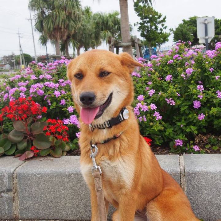 7f78dad9 3f07 455a 8170 528625023822