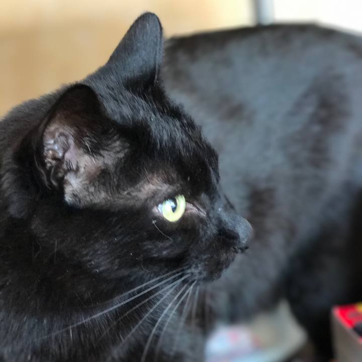 7f798358 7913 485e 95c1 a220c3d8ae5a