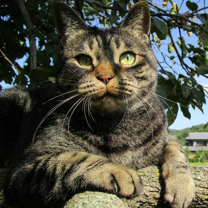 7f79b6c0 ac52 4a2d ac70 3ea902e086a8