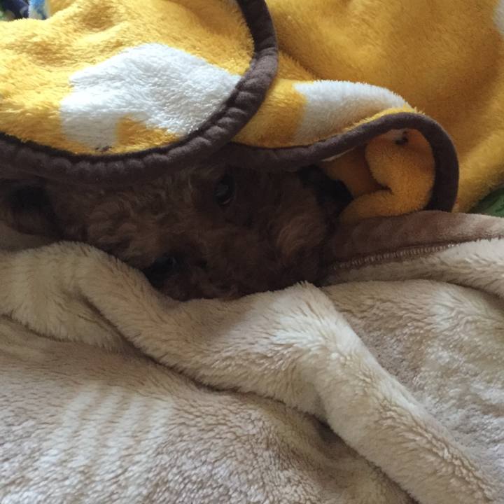 7f79bace 8f1a 43a2 8e66 b060c4f611ce