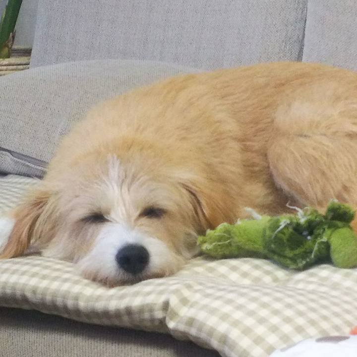 7f7aa924 4051 4ab4 a9af 87d963fade13