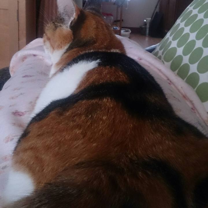 7f7c0413 039c 40f1 9ec7 2979ebb54527