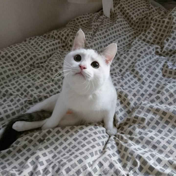 7f7c1d9d c428 4ce7 babe 9a221d7aa27c