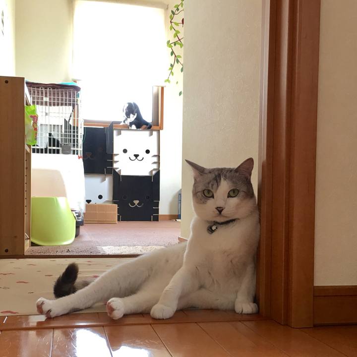 7f7ca788 23ab 4d95 b051 2a47d284b031