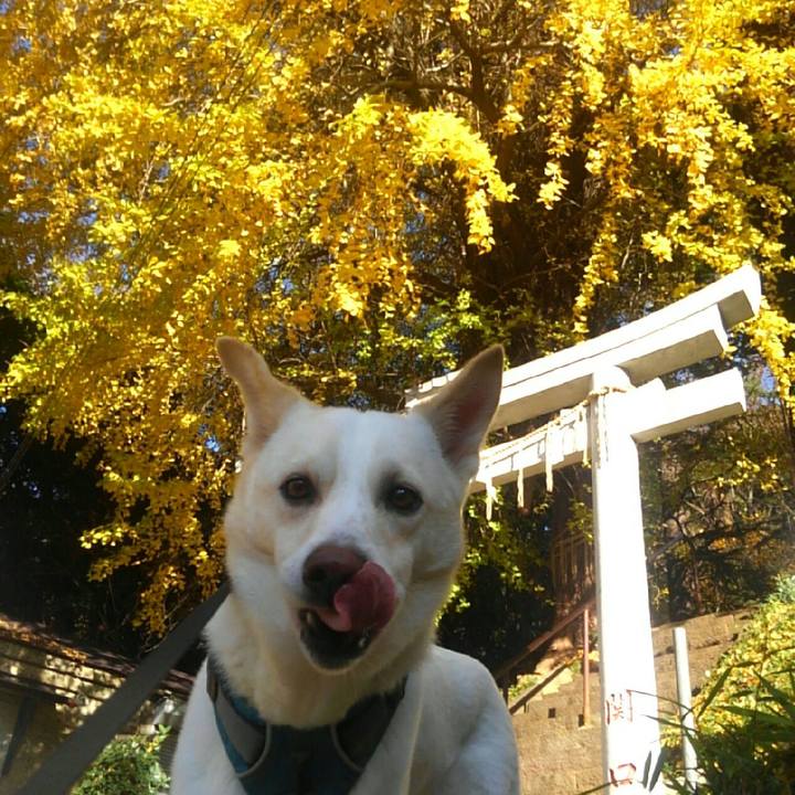 7f7cc422 dffd 4004 bfd3 902daf2f4bf2