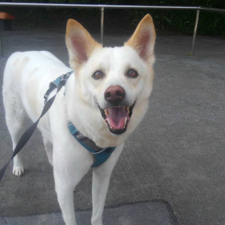 7f7cc596 cab5 4811 b420 5e129d82b704