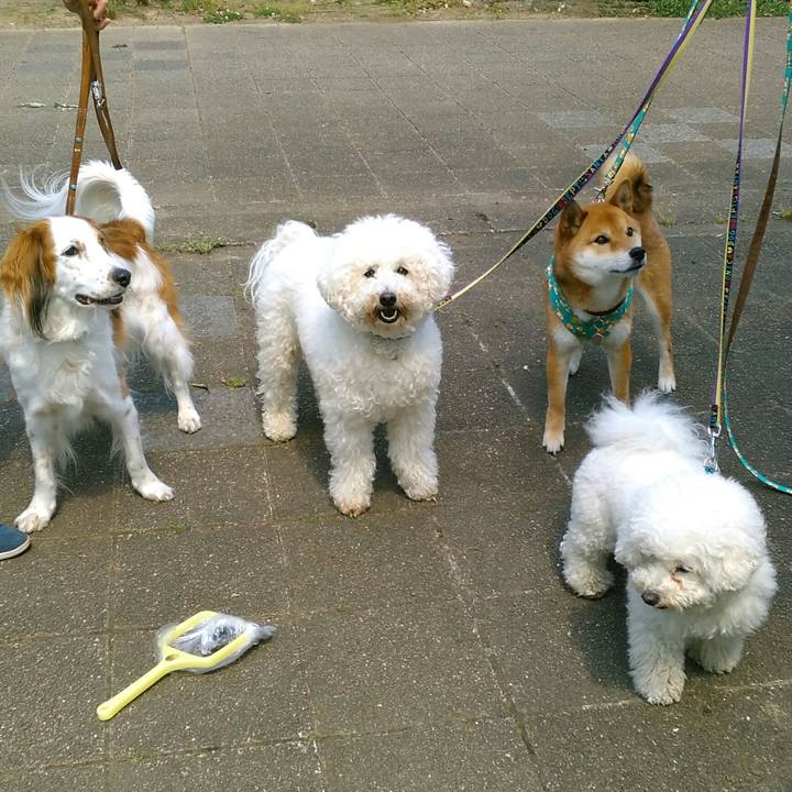 7f7cdeb0 1cc0 410f 8cfd 77e01c2d24a0