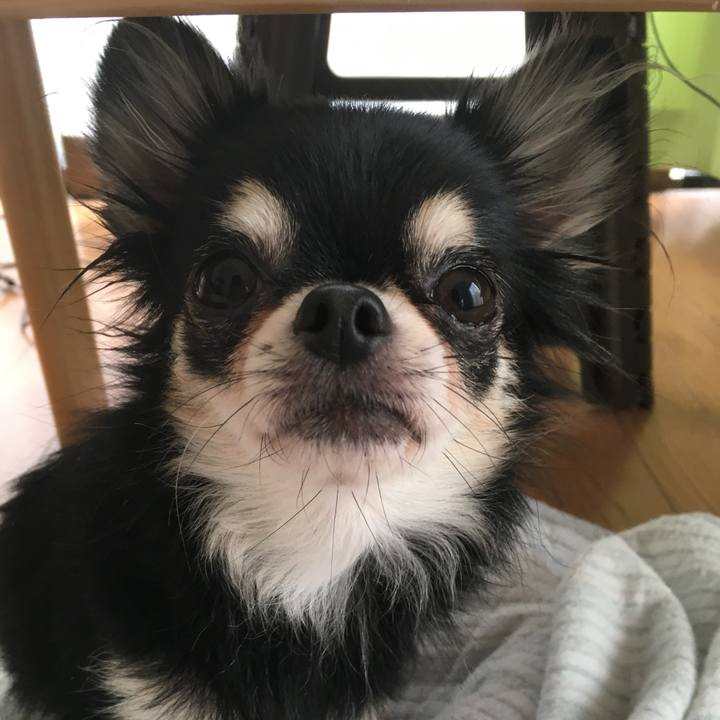 7f7dc2dc dc32 43c2 b4ab f04c1e82796c